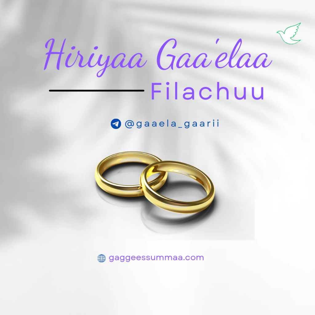 Hiriyaa Gaa’elaa Filachuu