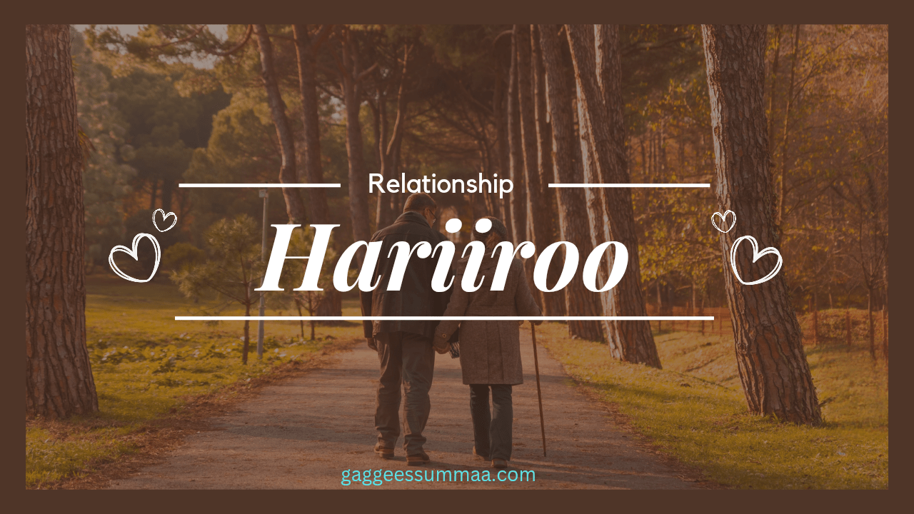 Hariiroo