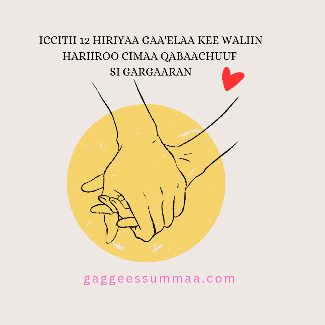 Hariiroo Cimaa Qabaachuu
