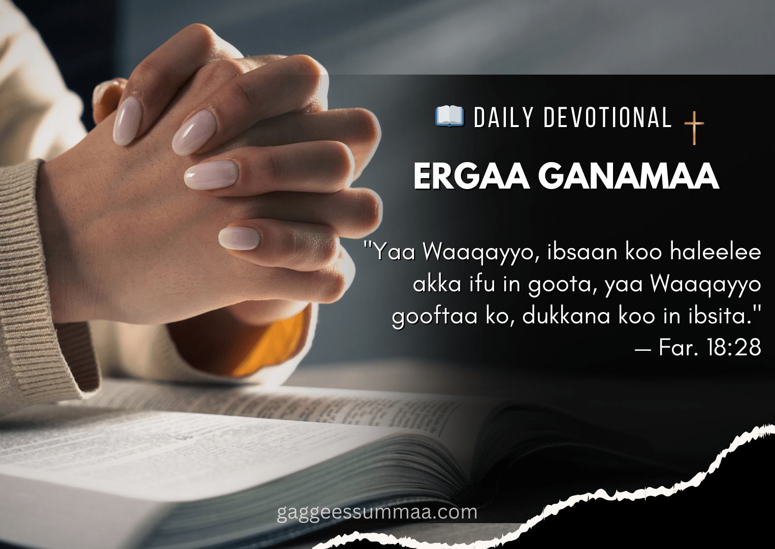 Dukkana Koo Ibsita!