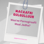 macaafni-qulqulluun