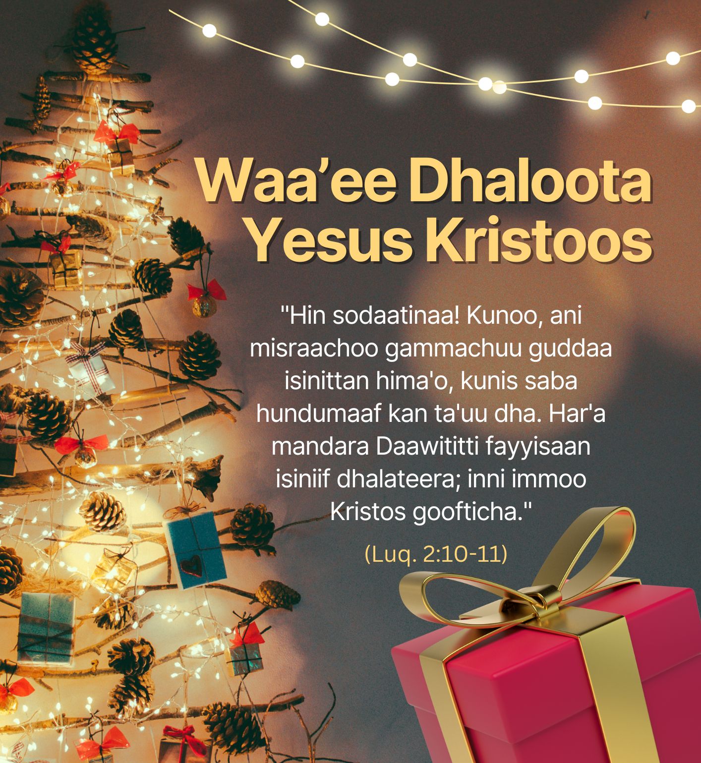 Waa’ee Dhaloota Yesus Kristoos