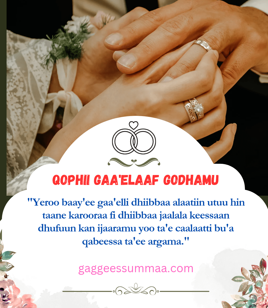 Qophii Gaa’elaaf Barbaachisu