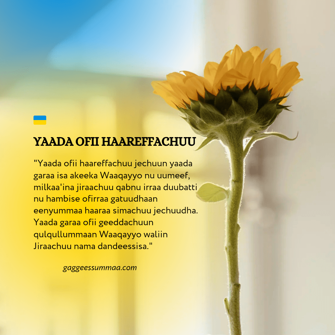 Yaada Ofii Haareffachuu
