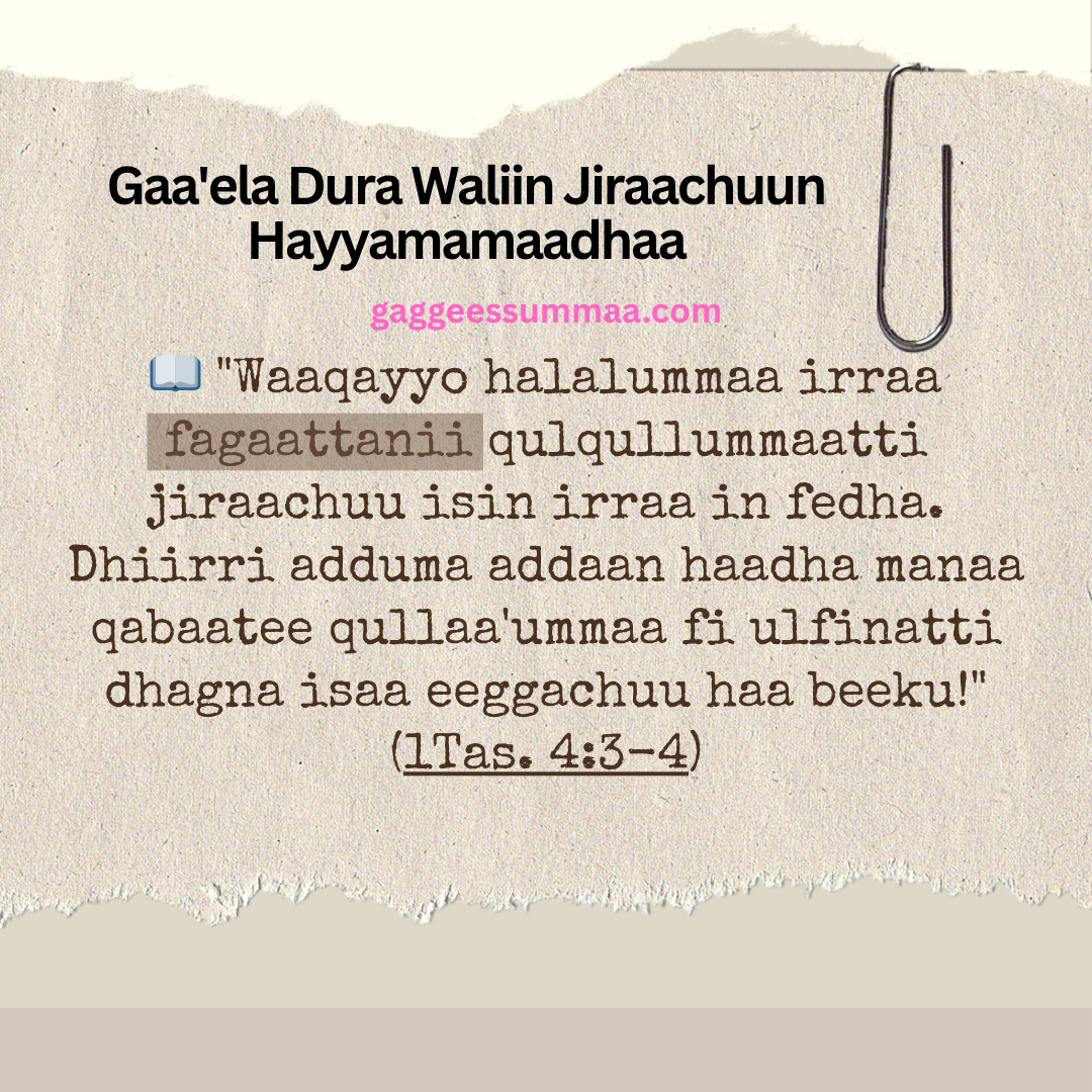 Gaaʼela Dura Waliin Jiraachuu Qabnaa?