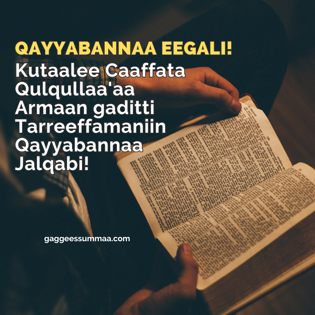 Qayyabannaa Jalqabi!